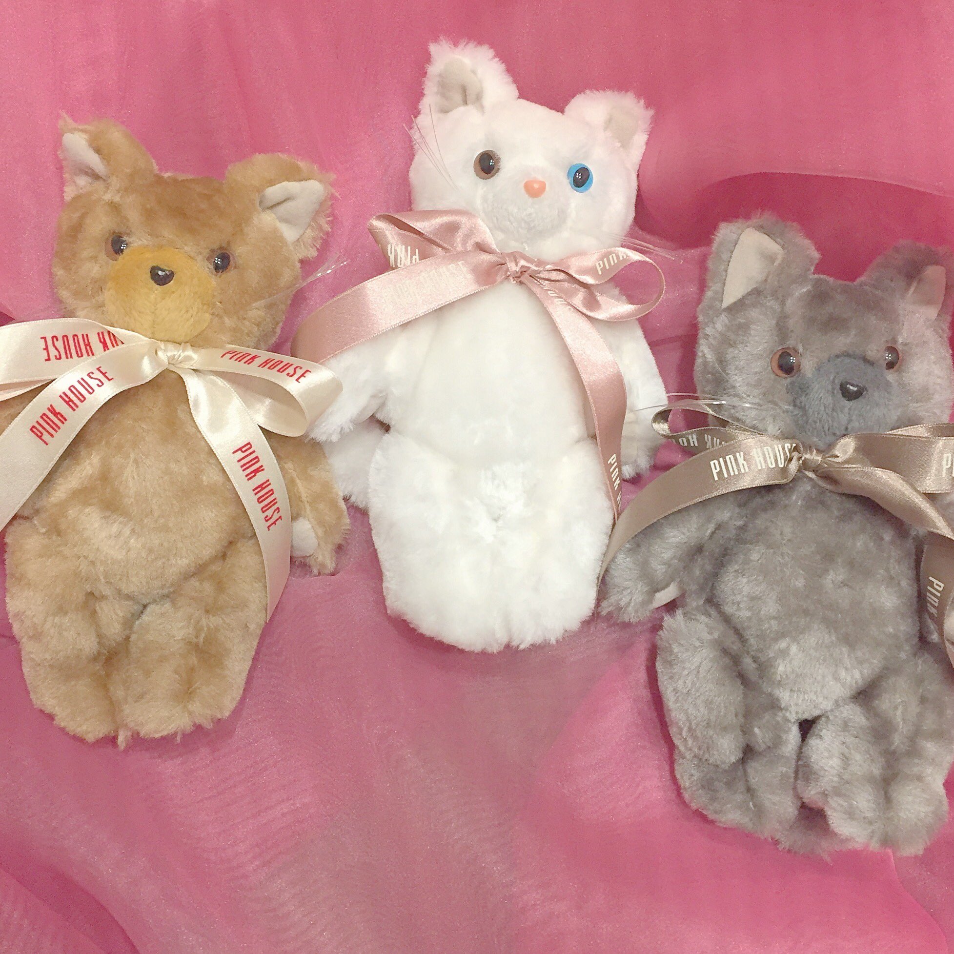 新しい到着 ピンクハウス オッドアイ 白猫 ぬいぐるみ コサージュ 新しい到着 ピンクハウス オッドアイ 白猫 ぬいぐるみ コサージュ