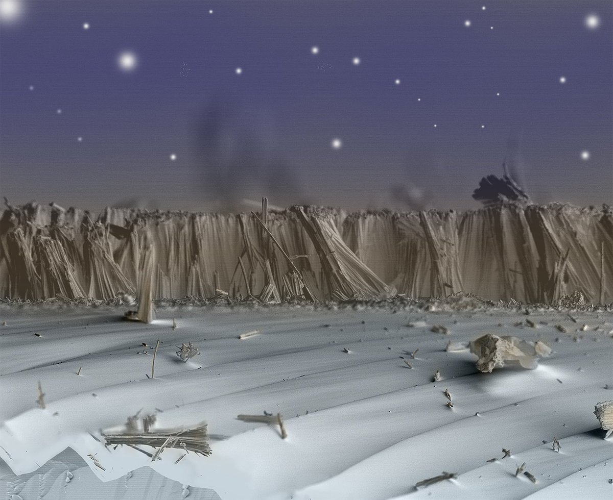 CNano_national's tweet photo. L'image de la semaine: On the beach at night alone - John Alper - Laboratoire Edifices Nanométriques-@CEA_Recherche #priximage #nanosciences https://t.co/Z327IrnRuu