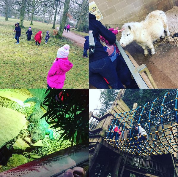 MotivatedMumUK's tweet photo. #halfterm #noschool #busyday #cotswoldwildlifepark #friends #rainyday #wildlife  #animals #burningcalories https://t.co/Jnh1AAzMDB