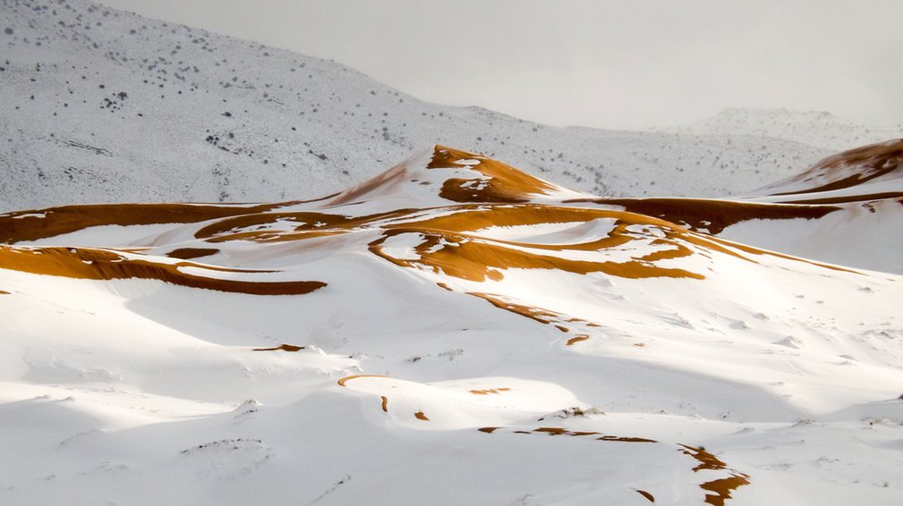 Tony__Heller's tweet photo. Are you talking about summer snow in Australia, or multiple snows in the Sahara desert this year @icarus62 ? https://t.co/SkTsUSyNa7