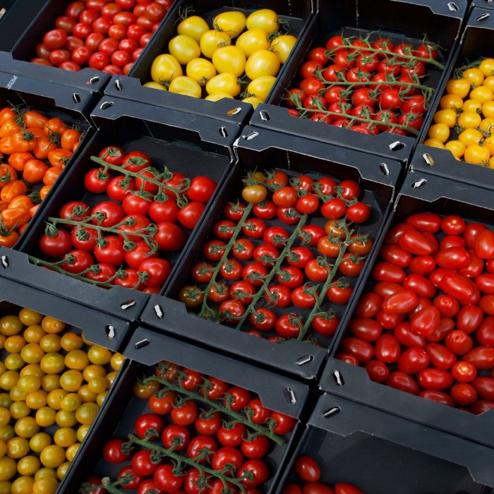 NFIALondon's tweet photo. How did the Dutch take the tomato industry by storm? via @qz https://t.co/Qs6CrzlOix https://t.co/wDOSWhiapX