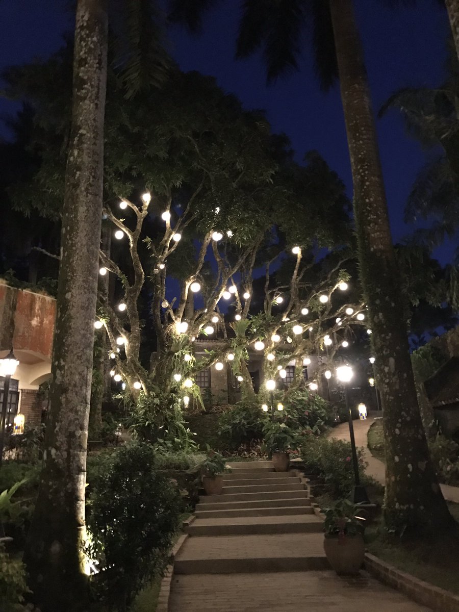 gracego's tweet photo. Loving the view ✨ https://t.co/p2DcLlSyaG