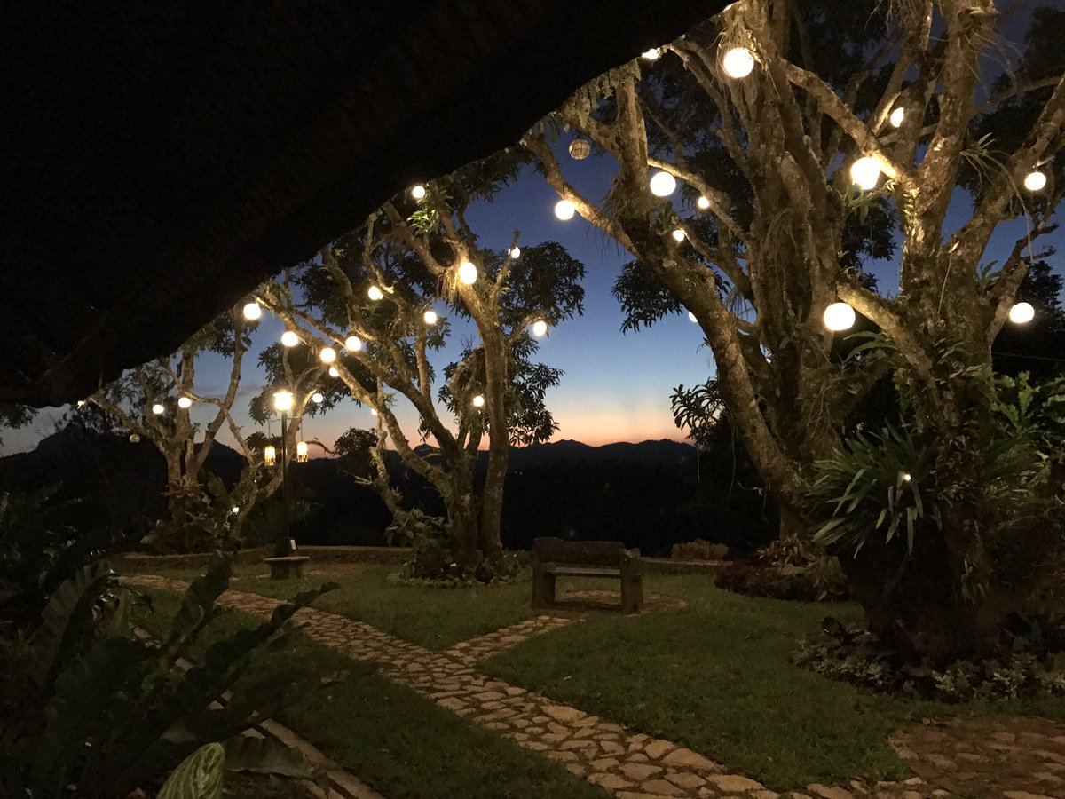 gracego's tweet photo. Loving the view ✨ https://t.co/p2DcLlSyaG