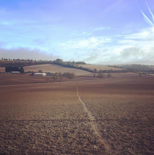 MotivatedMumUK's tweet photo. A nice morning walk before I start work. #countryside #highwycombe #buckinghamshire #chilterns #england #countingsteps #10000stepsaday #day1 https://t.co/7kTfm0DWC9
