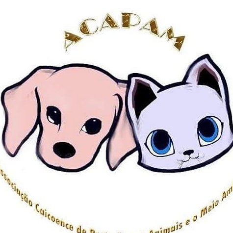 AcapamCaico's tweet photo. Associação Caicoense de Proteção aos A e ao Meio Ambiente. https://t.co/dwfAW7MAdk