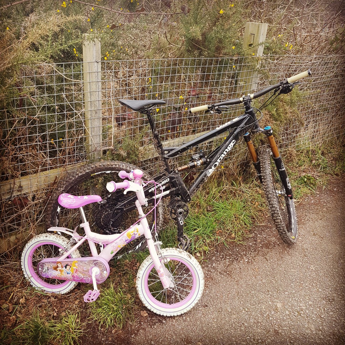 MrSi79's tweet photo. First mini bike ride with the daughter
#dadand daughter #mtb #bike #bikes #orangemtb #princess https://t.co/4bw9ncHLtQ