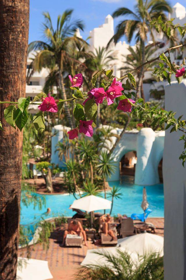 Hotel JardinTropical tweet media