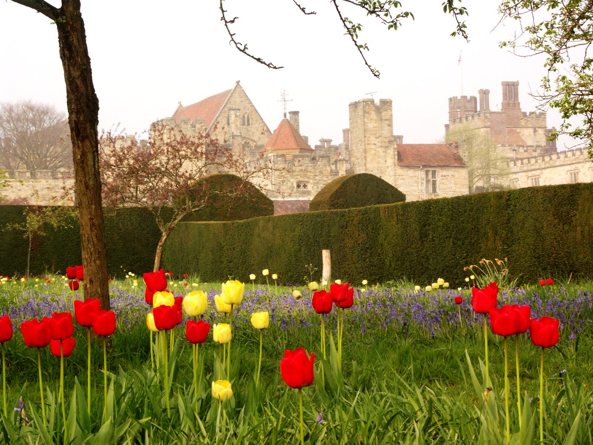 PenshurstPlace's tweet photo. Dreaming of #Spring on this very sunny day! https://t.co/H0J8ERuqin