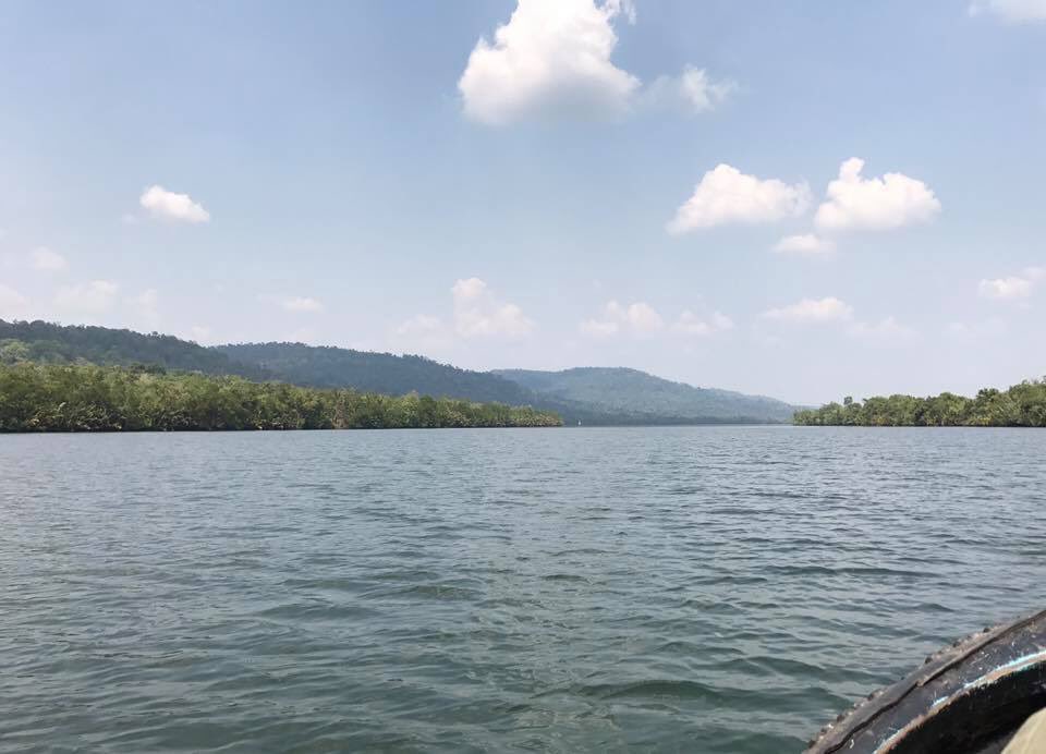 Environment Ministry tweet media