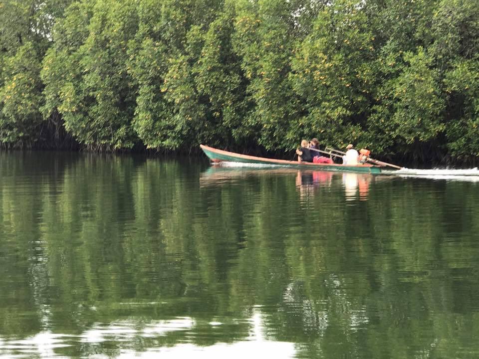 Environment Ministry tweet media