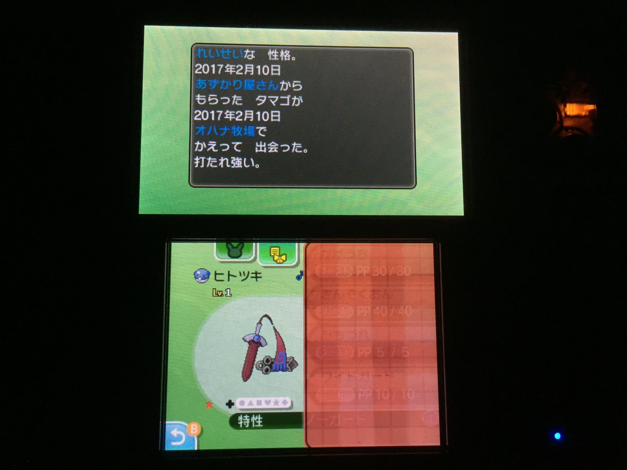 ポケモンマスター Pokemaass Twitter