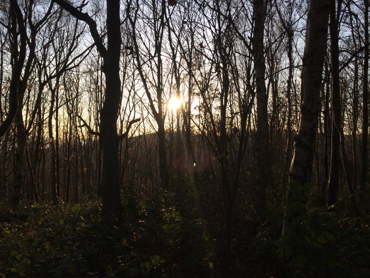 Only 1 week left to take part and share your views on sustainable healthcare:🌳🌻♻️🇬🇧
v3.pebblepad.co.uk/spa/#/public/s…