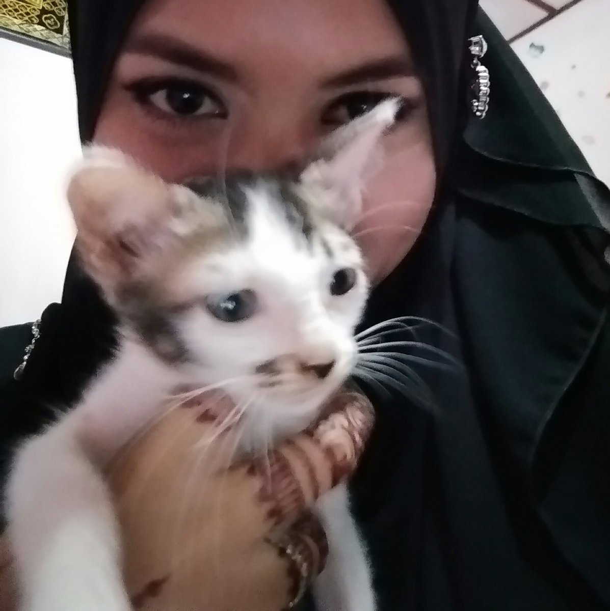HafiezLily8385's tweet photo. Kau pergi jua... 😭😭💔
#B@pokpok #12nov2016~20feb2017
#kesayangan #cat #aimcatlover https://t.co/ExpkD2CoU9