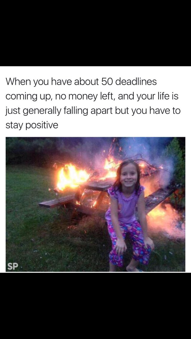 hannahbweaver's tweet photo. This is my life. https://t.co/eLdIDiSy39