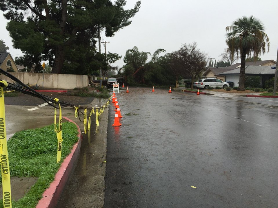 3 days after the storm and Oakdale at Lanark still blocked by huge tree #LAweather