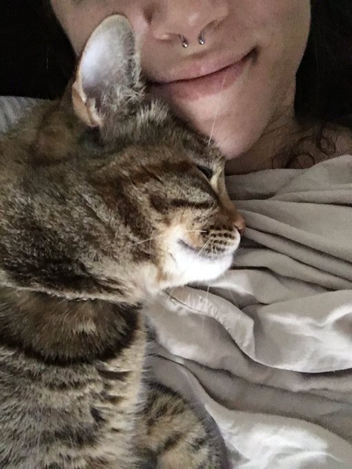 Waking up like this https://t.co/r8ML7M2VxY<a href="/tag/domcon2016"class="tags"><span>#domcon2016</span></a>