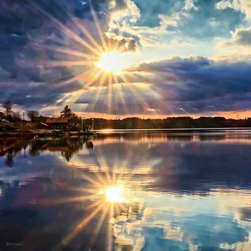 geonelroma's tweet image. Nature's Lover
02