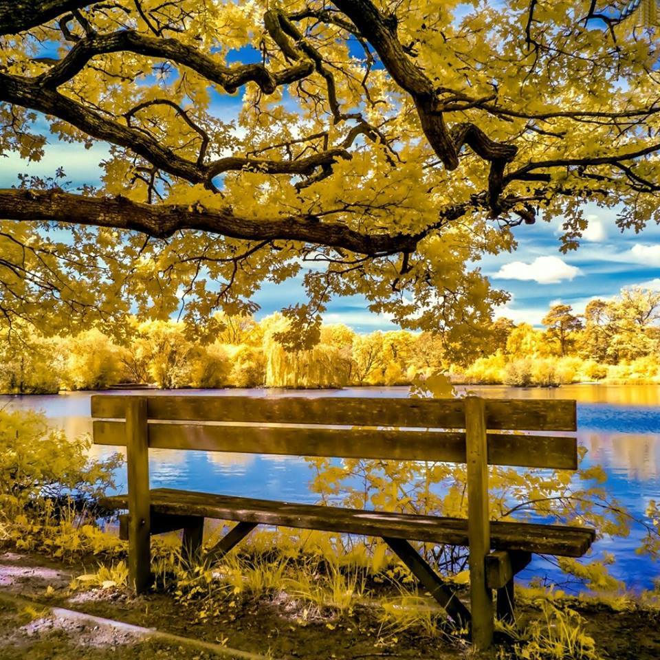 geonelroma's tweet image. Nature's Lover
02