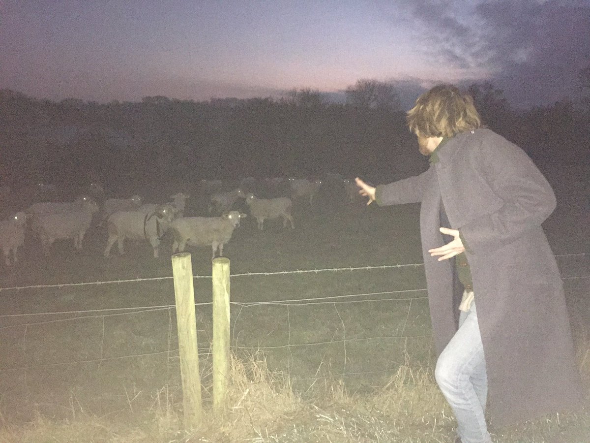 Front man, Jake, luring in the possessed sheep for our new show! We are recruiting! And sheep make fantastic stage dancers....