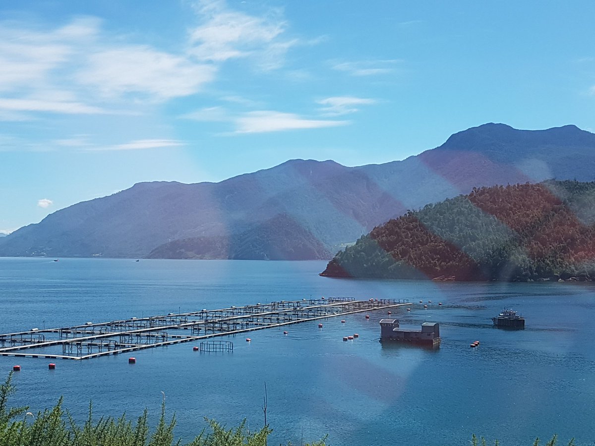 Suramericapunta's tweet photo. Febrero 5: De Petrohué a Chaiten. Granjas piscícolas. Vistas de nevados. Gran parte destapado (ripio) hasta primer Ferry  en Hornopirén. https://t.co/knGI6Ckhc2