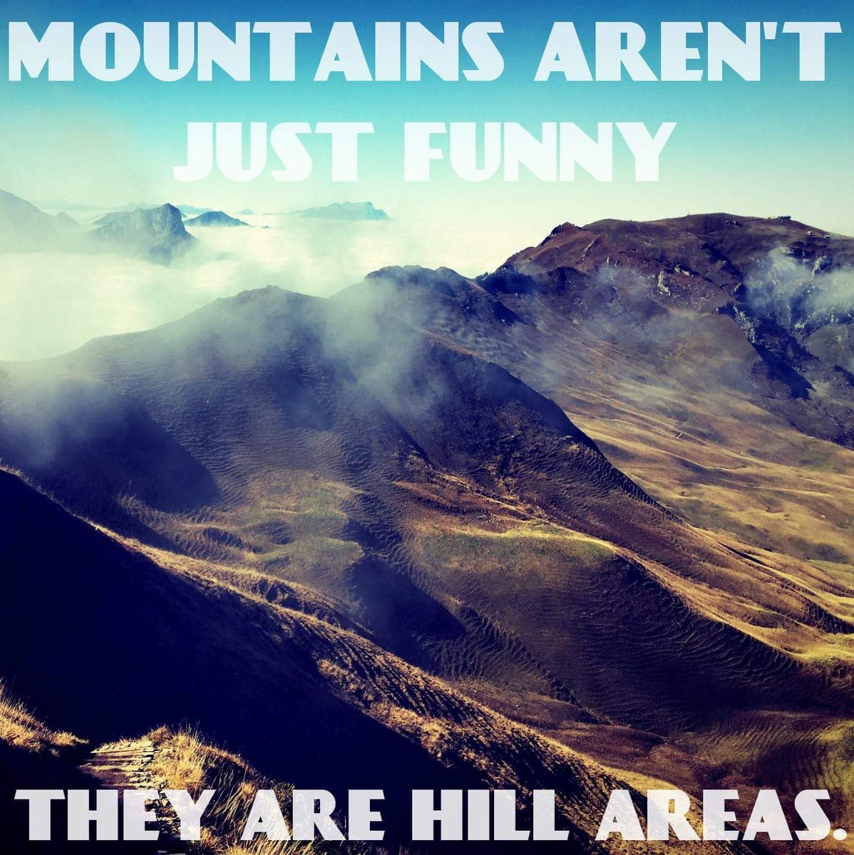 safelyfiled's tweet photo. This one has its ups and downs! #MondayPun https://t.co/l3tjTdbZnj