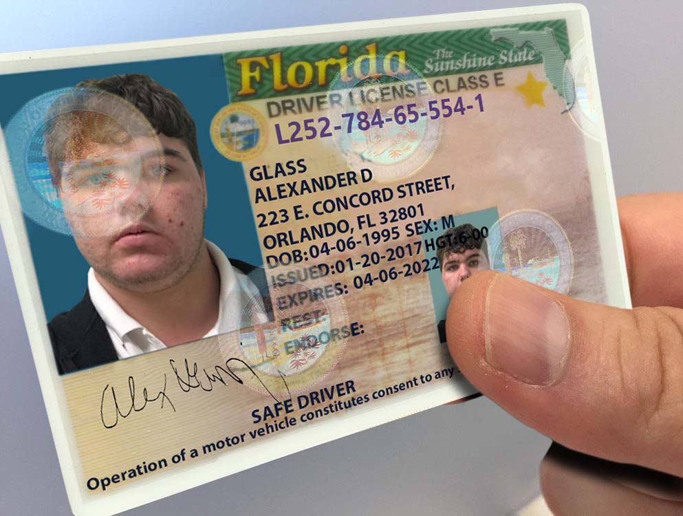 drivers license check florida saint petersburg fl