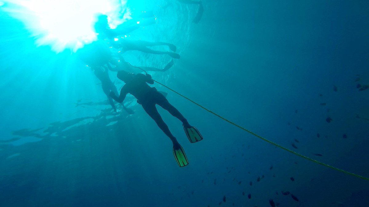 Practicar #Apnea era parte de mi check list, <a href="/irubalic/">Iru Balic</a> lo hizo posible y te cuento mi experiencia en <a href="/Inspirulina/">Inspirulina</a> inspirulina.com/descubriendome…