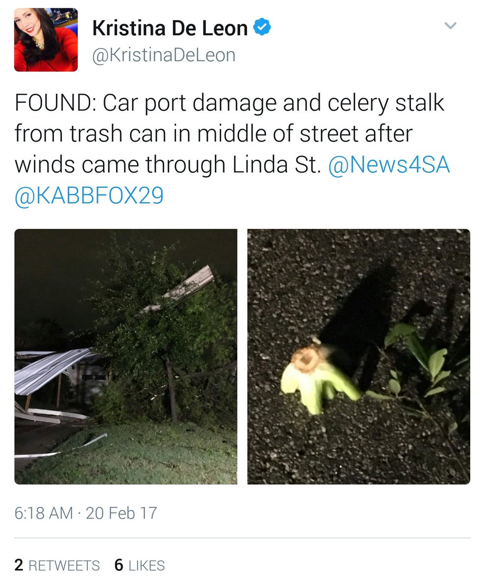 derrickgott007's tweet photo. BREAKING NEWS!!!!! CELERY FOUND IN ROAD AFTER STORM IN SAN ANTONIO TEXAS! #BreakingNews #Celery #CeleryStalk #CeleryStalker https://t.co/wMEfG8U1rT