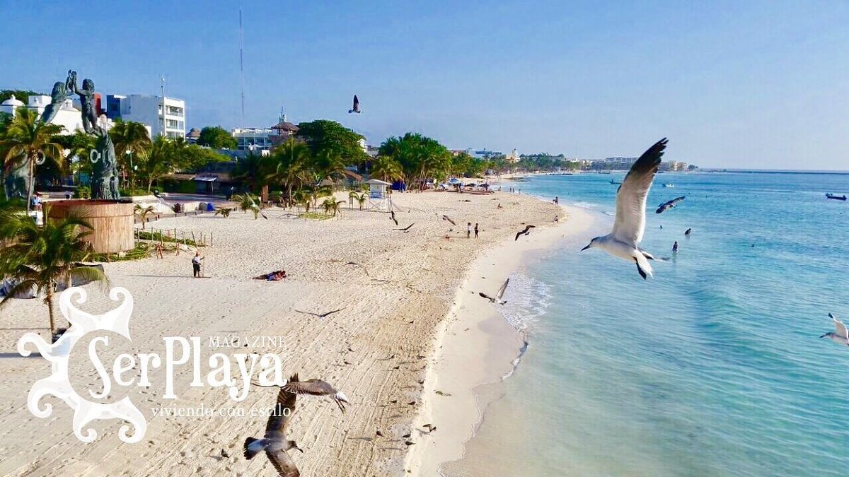 SerPlayaNews's tweet photo. Buenos días desde la #RivieraMaya #SerPlayaMagazine #México #BuenosDías #FelizLunes https://t.co/pQS7WXZxTu