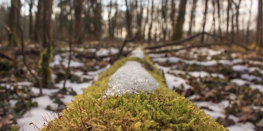 2017 NERC Request for Evidence of Training Priority – closing April 12 2017 bit.ly/2lmDRMH