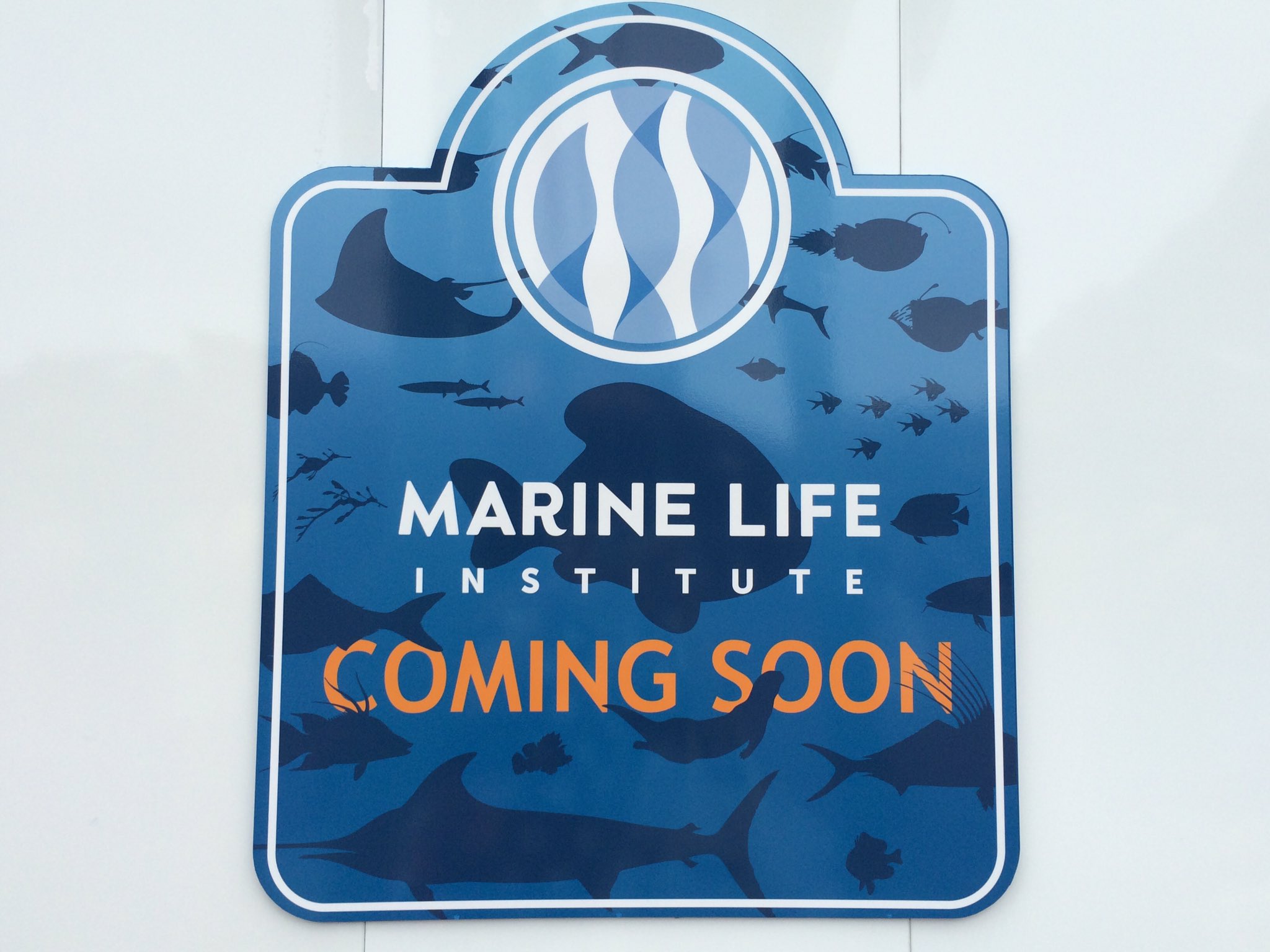 きせしょう 映画 ファインディング ドリー と ニモ フレンズ シーライダー の施設 海洋生物研究所 Marine Life Institute Mli のpc版壁紙ができたよ 2 3枚目が元ネタ まだ存在してない施設のだけどほしいひといる 今度スマホ版も作ろっかな