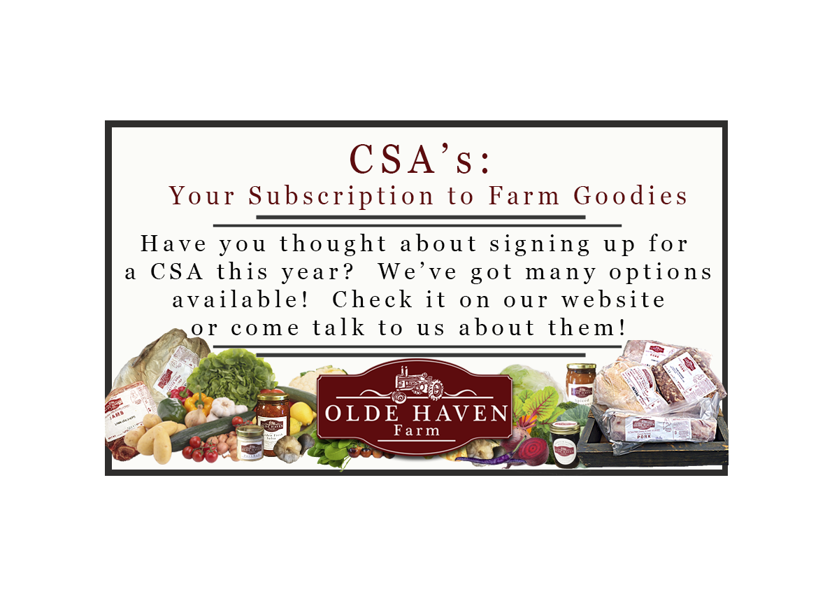 oldehaven's tweet photo. Olde Haven Farm's CSA info for Summer 2017 is on the web!  https://t.co/XJkhuCYHRV #Supportyourlocalfarmer #csaday https://t.co/DRdyi2x8jG