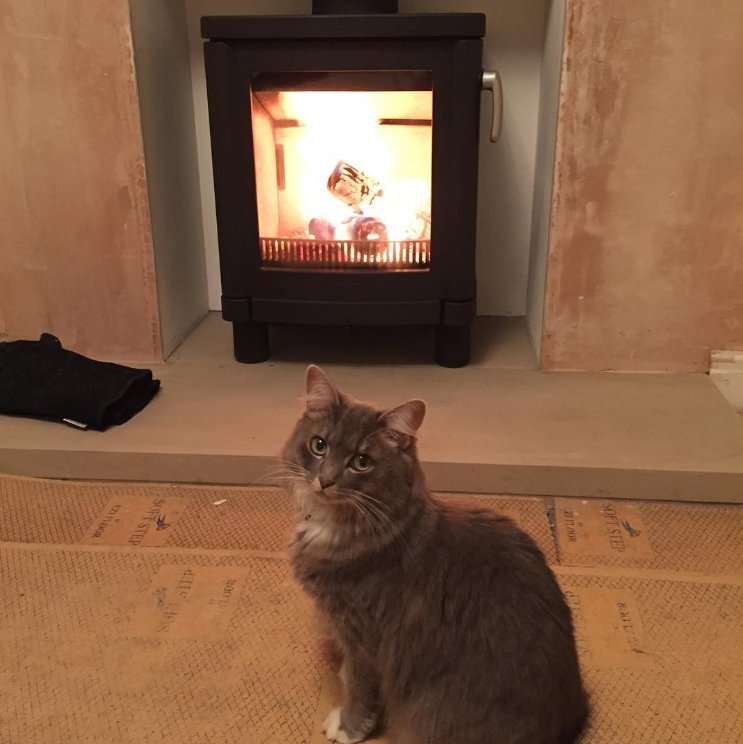 The look you get when you try to sit in front of the fire… keep tagging #ConturaPets to feature!