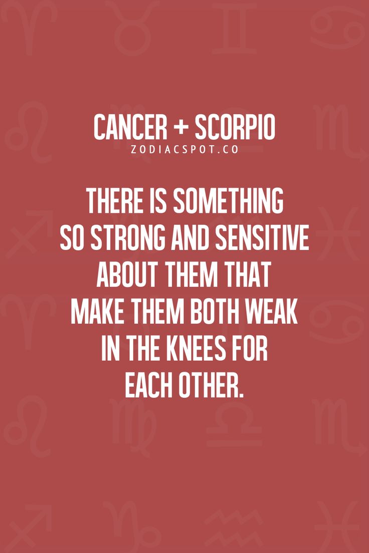 scorpiosweete's tweet photo. I'm #Scorpio♏️🦂 & George is #Cancer♋ & this fits us pretty well. 🌷
#zodiac #scorpiofemale #cancermale #astrology https://t.co/kuSTT5renS