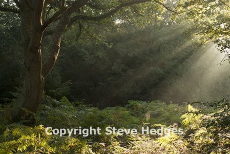 FSCFlatfordMill's tweet photo. For #photographers wishing to release the potential of their cameras! #FMLearn 7-9 April w @stevehedges7 https://t.co/W6mlptWghF https://t.co/TPsS808xdl