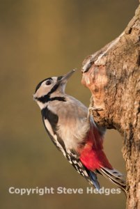 FSCFlatfordMill's tweet photo. For #photographers wishing to release the potential of their cameras! #FMLearn 7-9 April w @stevehedges7 https://t.co/W6mlptWghF https://t.co/TPsS808xdl