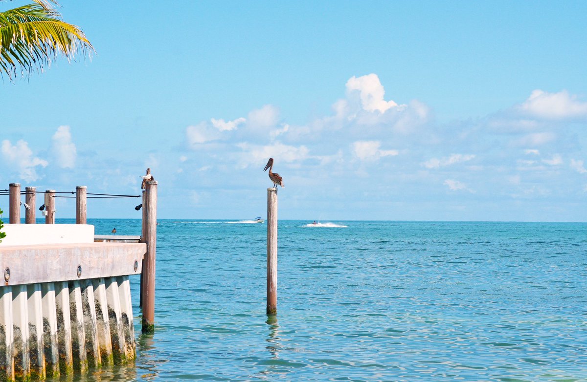 travellingdany's tweet photo. How about we start our #Monday with a beautiful view of #KeyWest? I don't know about you but I wish I was there! #Ineedanotherweekend https://t.co/AJndQMvgrp