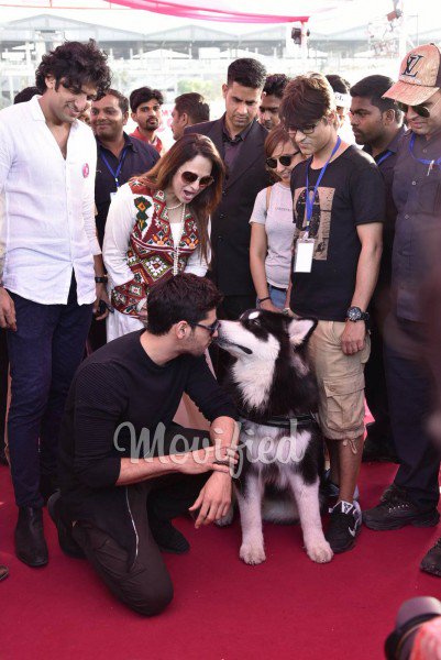 SidUpdates's tweet photo. Set 1 : @S1dharthM at #GlamDogs event yesterday! https://t.co/ax06DZBBkX