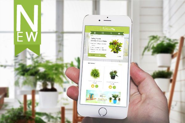 Sain3Tech's tweet image. If your company sells potted plants, there is no doubt that this template is perfect for you! buff.ly/2lcO8N6