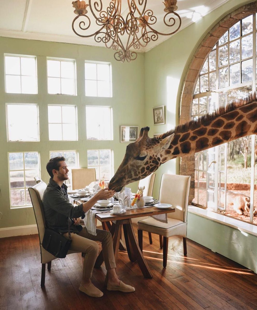 Unreal experiences in Kenya.