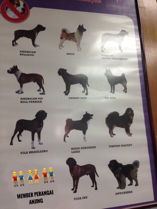 Media Tweets By Pak Beruang En Beruang Twitter