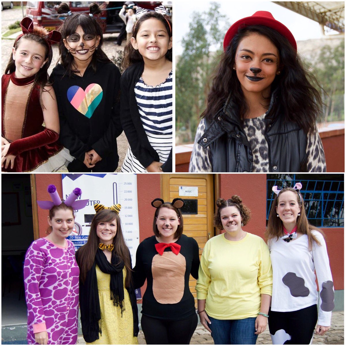 HISnics's tweet photo. Spirit Week Day 1! Favorite animal day. Great job students and staff, you all looked great! @nicsschools @NICSCareers https://t.co/UtUpNKjy0q