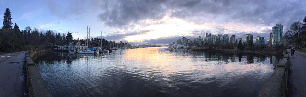 David_deHaas's tweet image. I'm going to miss these morning walks into #StanleyPark #vanaqua #NewChapter