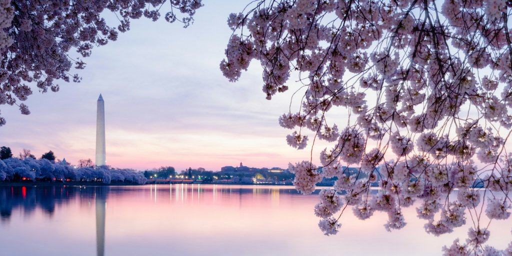 Janbala's tweet photo. In honor of Presidents Day, Washington DC #TravelMeans museums, monuments and capital culture: https://t.co/FDUrzwWhY8 https://t.co/Nhm2pHOyxc