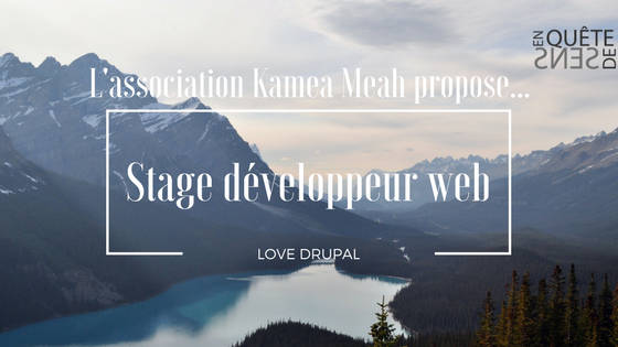 EnQuete_deSens's tweet photo. #Stage : on recherche un developpeur web ! #developpeurweb #stageweb #Drupal RT si vous en connaissez ;) https://t.co/NQCD8wtNZd https://t.co/bul6f4fSKs