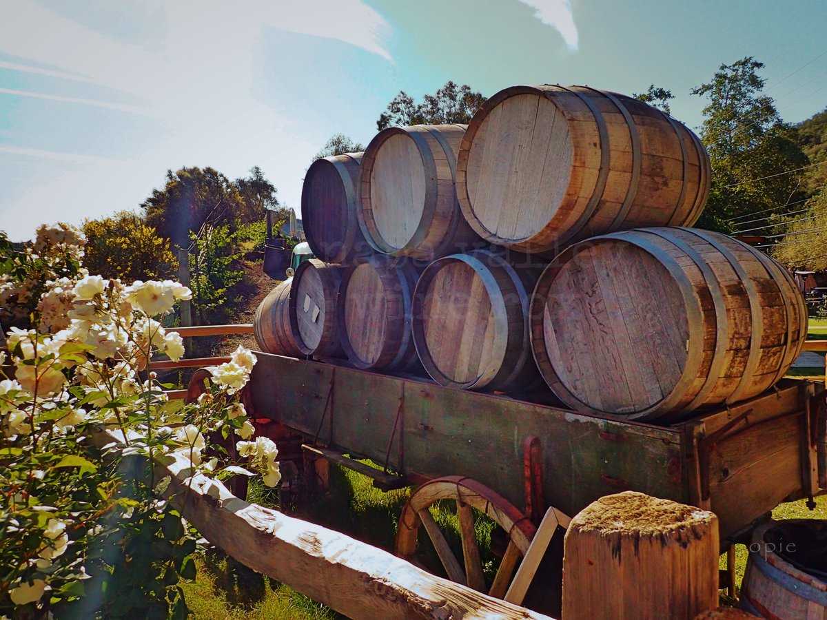 SkullScrews's tweet photo. @malibufmlywines @MalibuWine #wine #winelover #napavalley #vineyard #farming #block36 #wineproducts #vino #art #vogue #vogueparis #photo https://t.co/oXXtpzvVcf