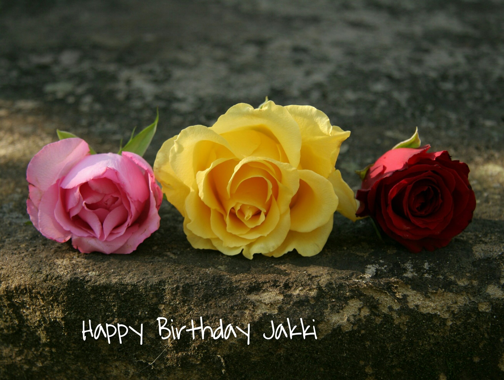Happy Birthday  