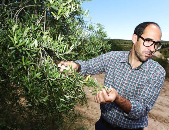 Emprendedores's tweet photo. ¿Cómo triunfar en el mercado internacional desde un pueblo de Lleida? https://t.co/xuKRbUA3re https://t.co/BBnduc02qX
