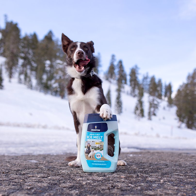 mortonsalt's tweet photo. It's #LoveYourPetDay! Show your pup some love & stock up on Morton Safe-T-Pet, a paw-friendly ice melt
#BootTheBoot
https://t.co/phd6hYLnBJ https://t.co/2Jgp3T9hkr