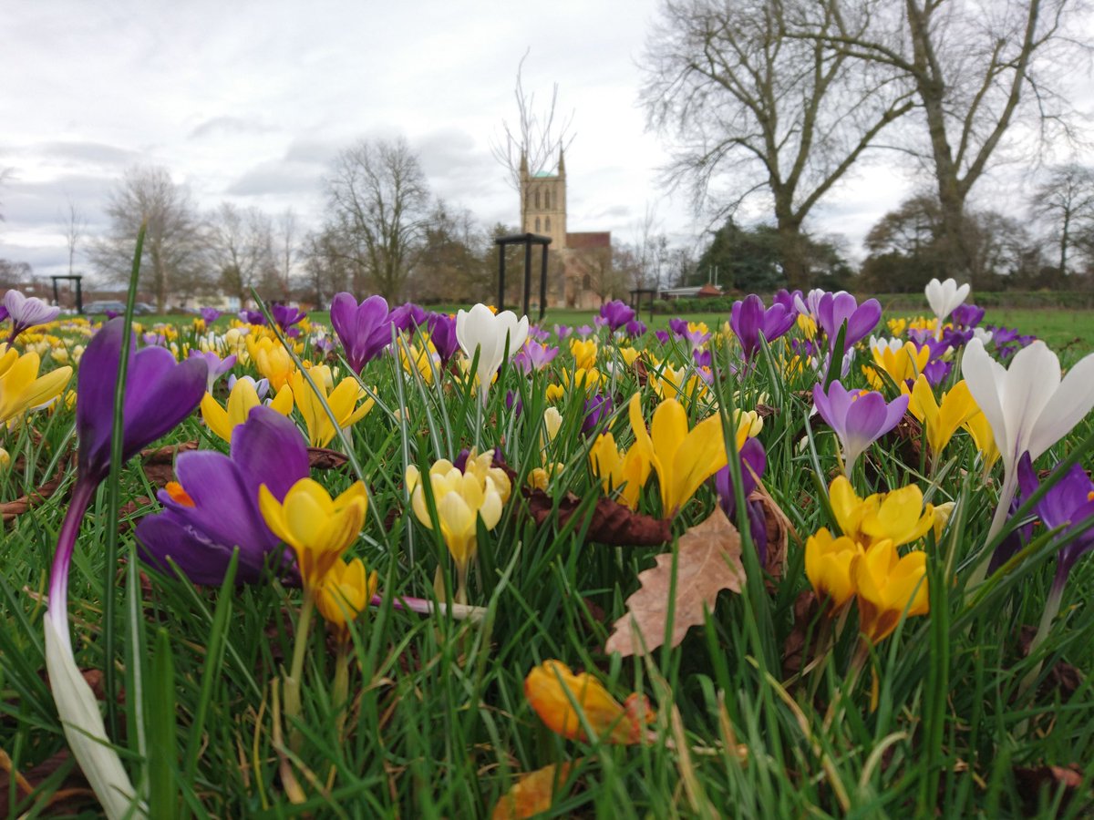 Andrew Lawson tweet media